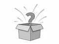Mystery Christmas Box